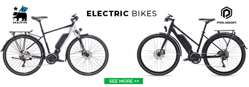 Electric Bikes 